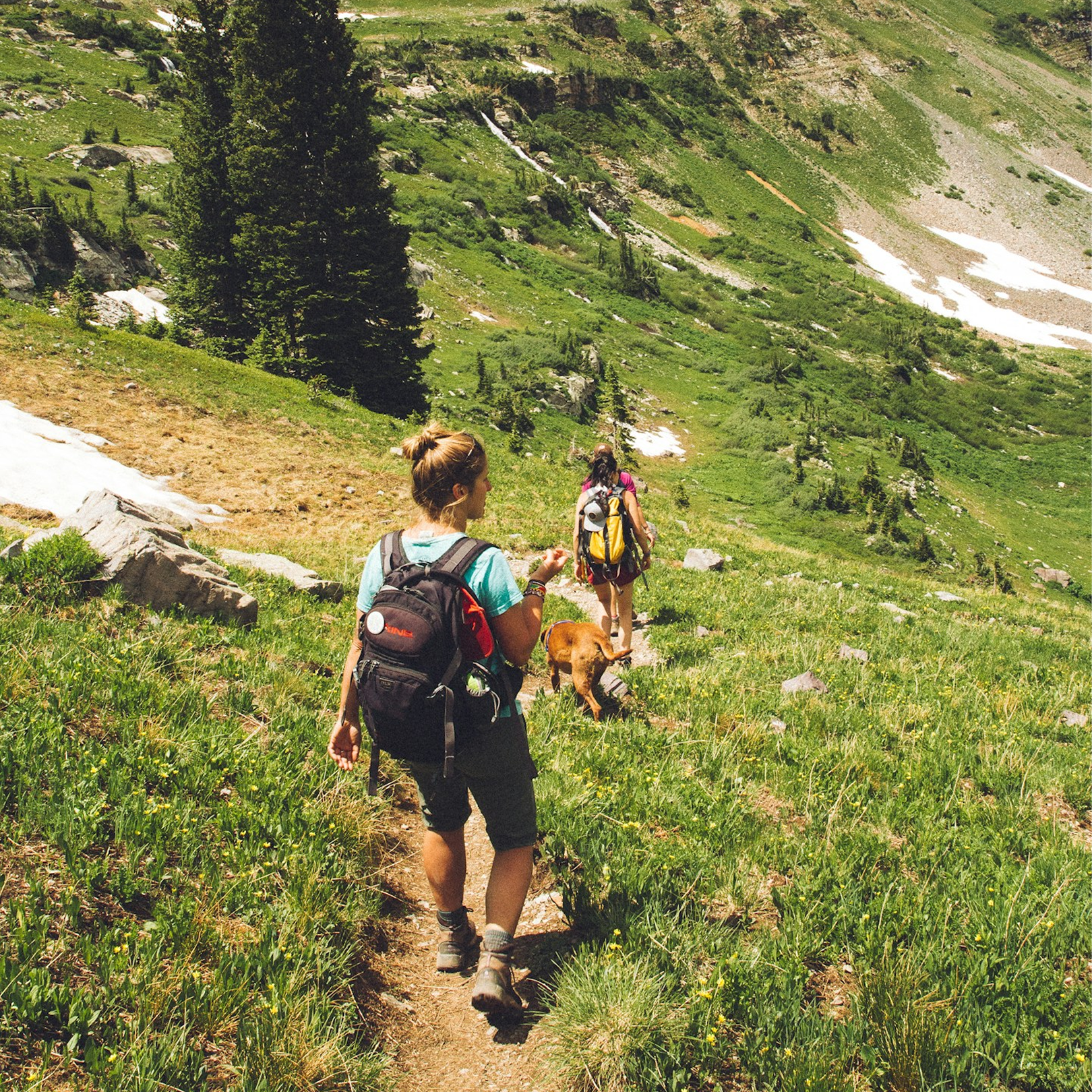 Two women hiking on a trail in a mountainous area with lush green grass, rocks, and snow patches, accompanied by a dog. They represent Myer's Cocktail IV Drip patients benefiting from boosted immunity and enhanced energy and performance.