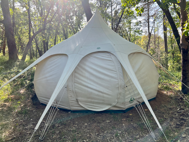 Lotus Belle Straight On.png