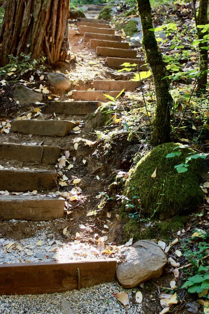 Nature Trail on Land (1).jpeg