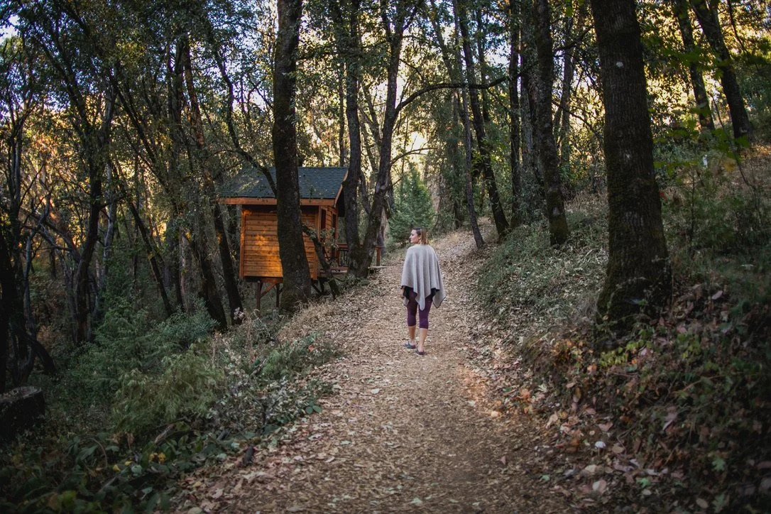 Path from Heiron to Love Den (1).jpeg