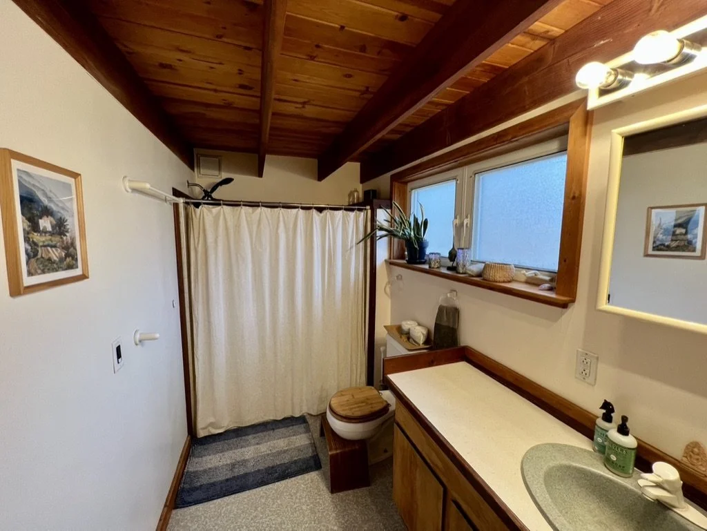 Magic House Downstairs Bathroom.jpeg