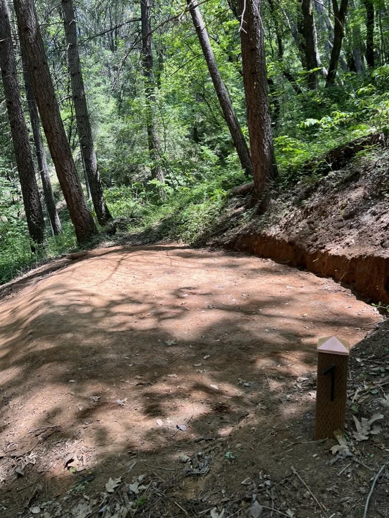 E8ADB2D8-BC68-42CB-B5EE-E8DB205DAB79_1_105_c (1).jpeg