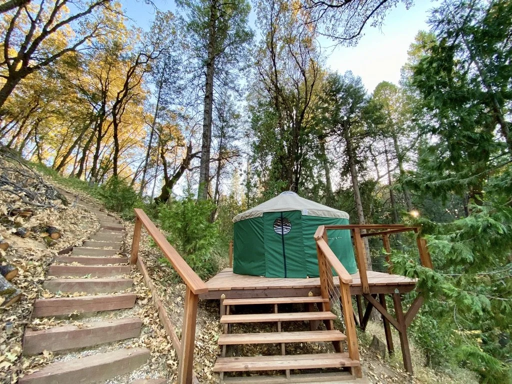 Outside Glamping Nature Yurt (2).jpeg