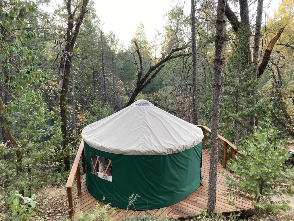 Glamping Nature Yurt in Forest.jpeg