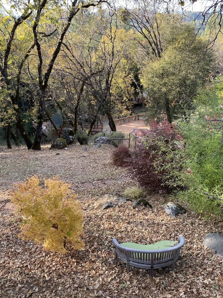 Spots to take in Nature.jpeg