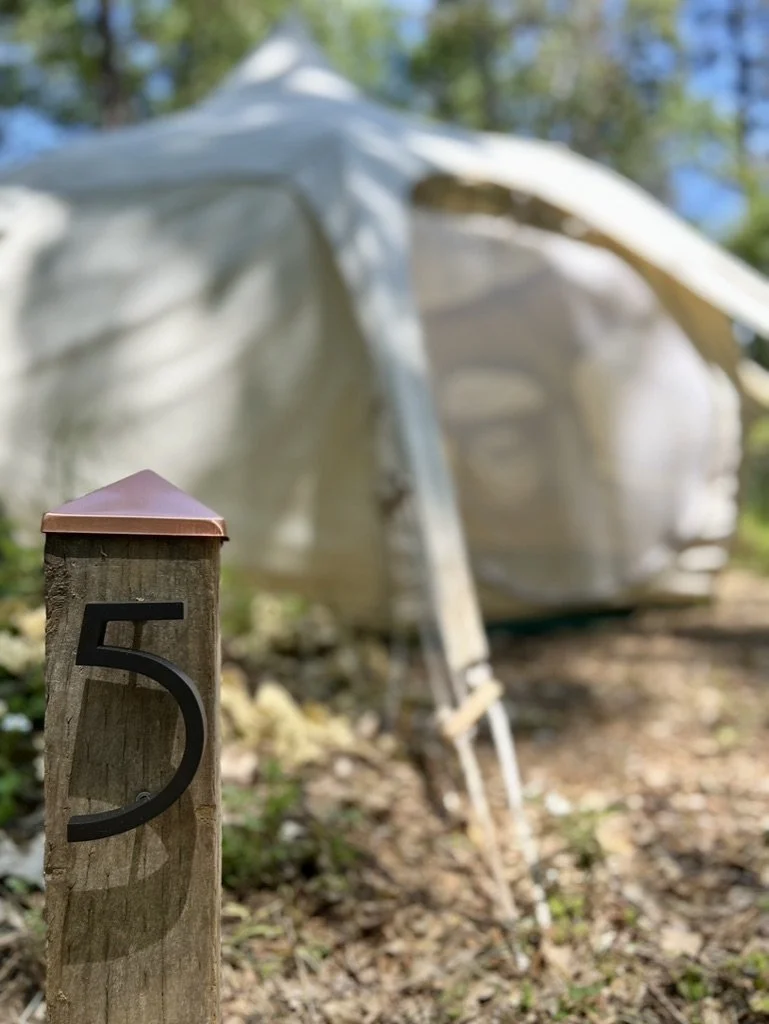 1CEAB03C-86D1-43E4-96DA-4069D51445F6_1_105_c (1).jpeg