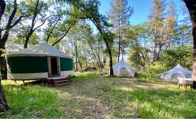 Black Oak Bunkhouse & Lotus Belles.png