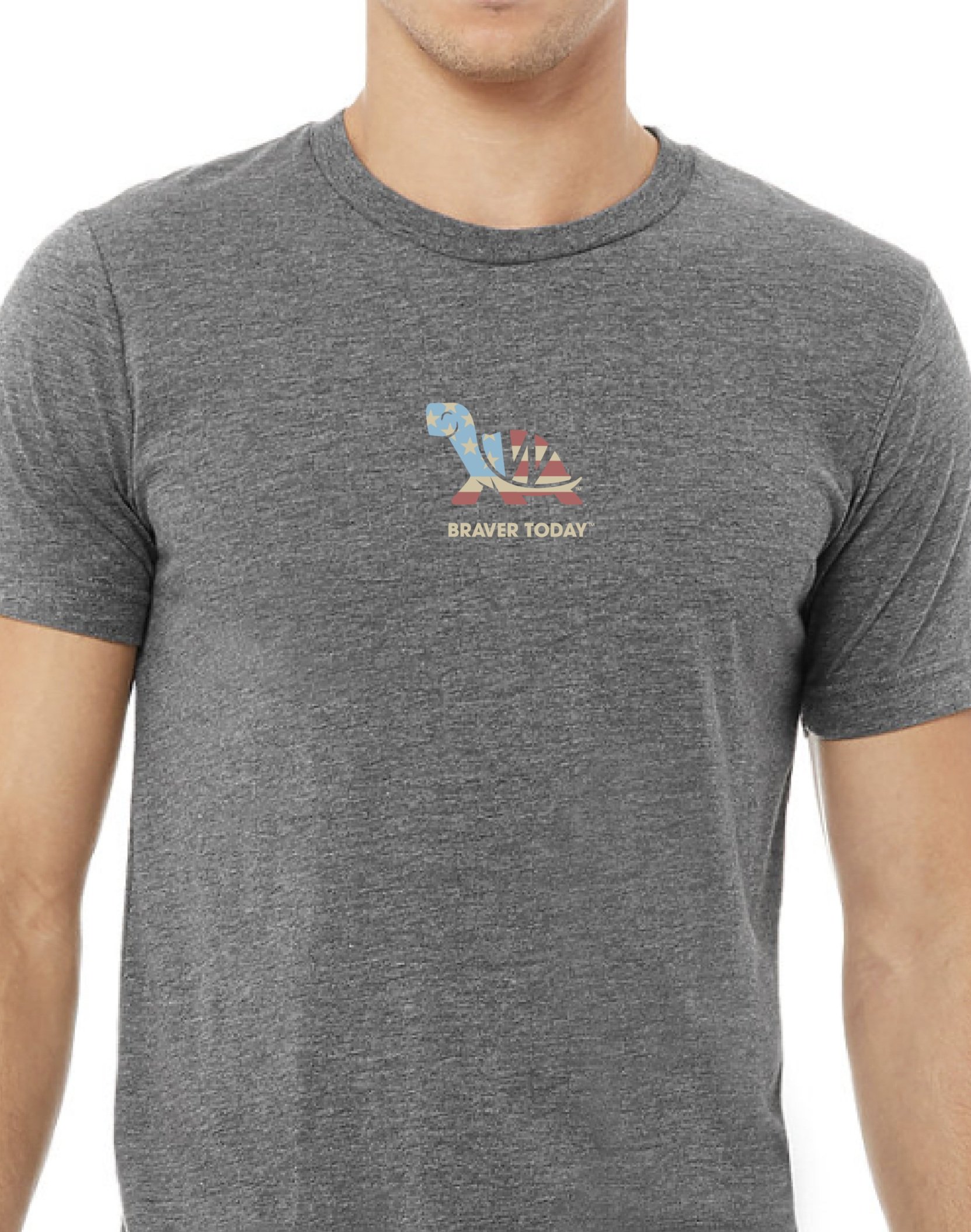 All-American Turtle