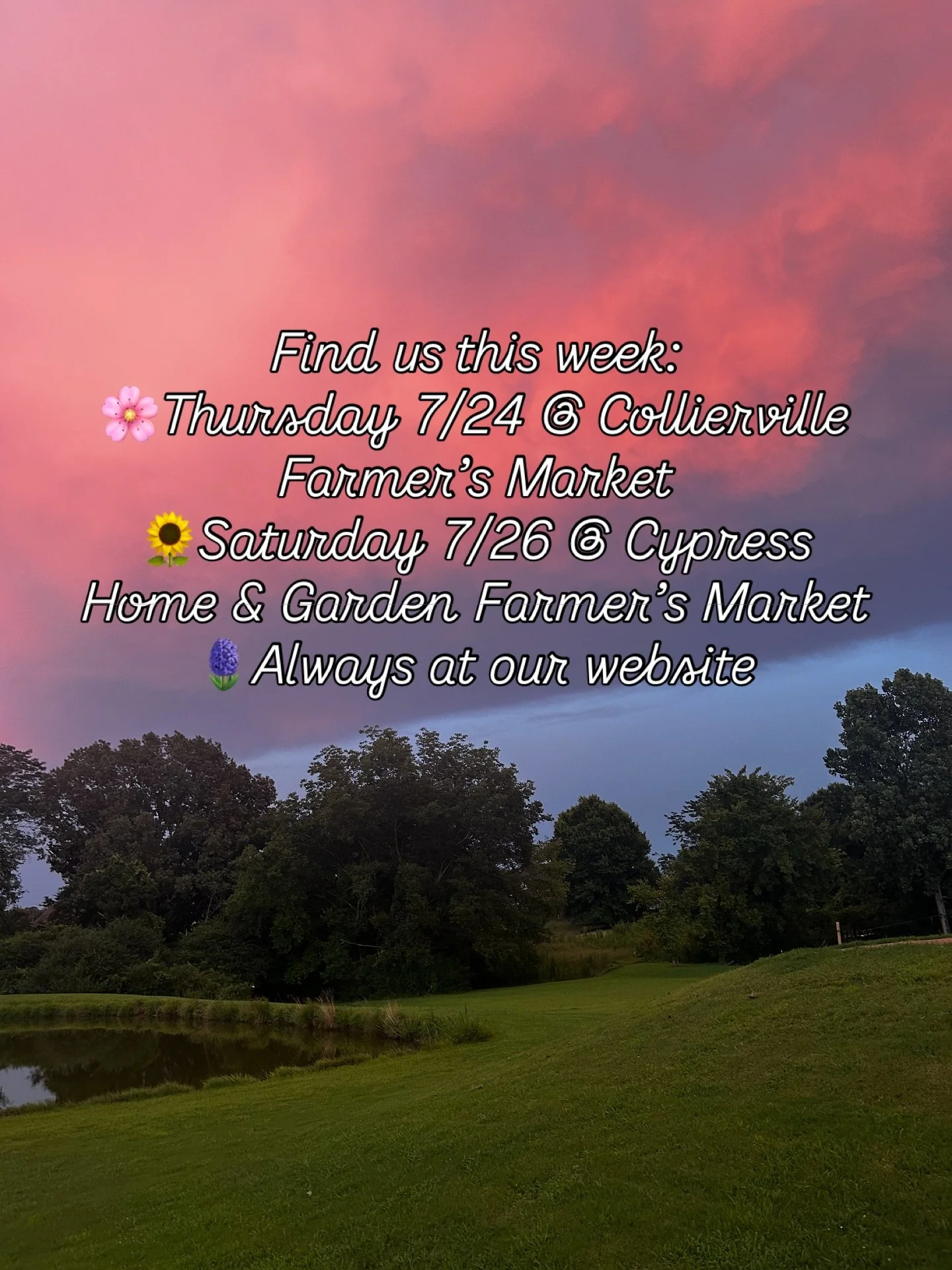 Catch us this week @colliervillefm and @cypresshomeandgarden! We'll be at the Cypress Home &amp; Garden Farmer's Market in Rossville from 7-11am on Saturday 7/26 with other great local vendors!