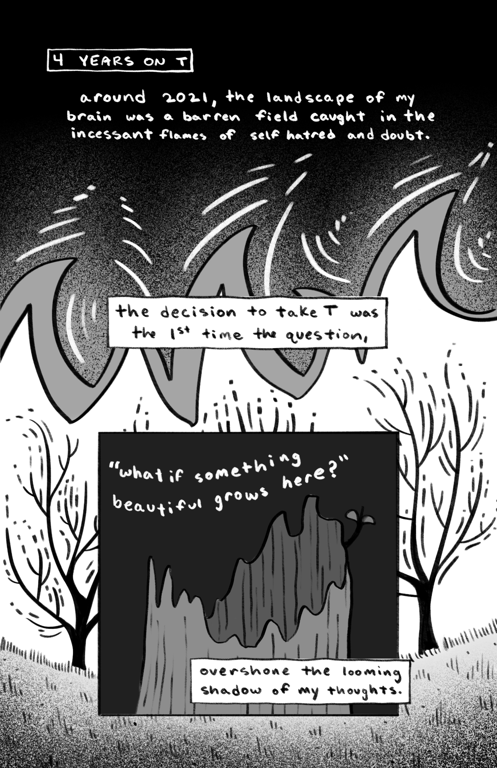 newsletter 5_1.PNG