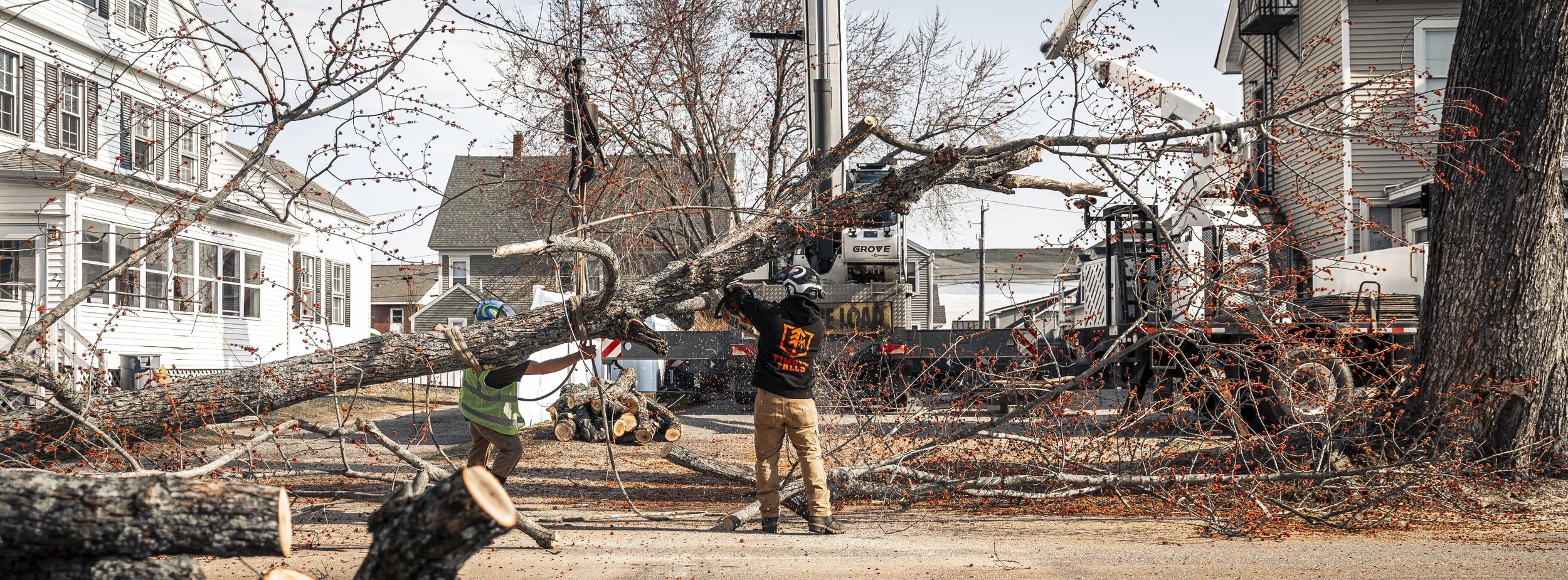 timberfalls-35 copy.jpg