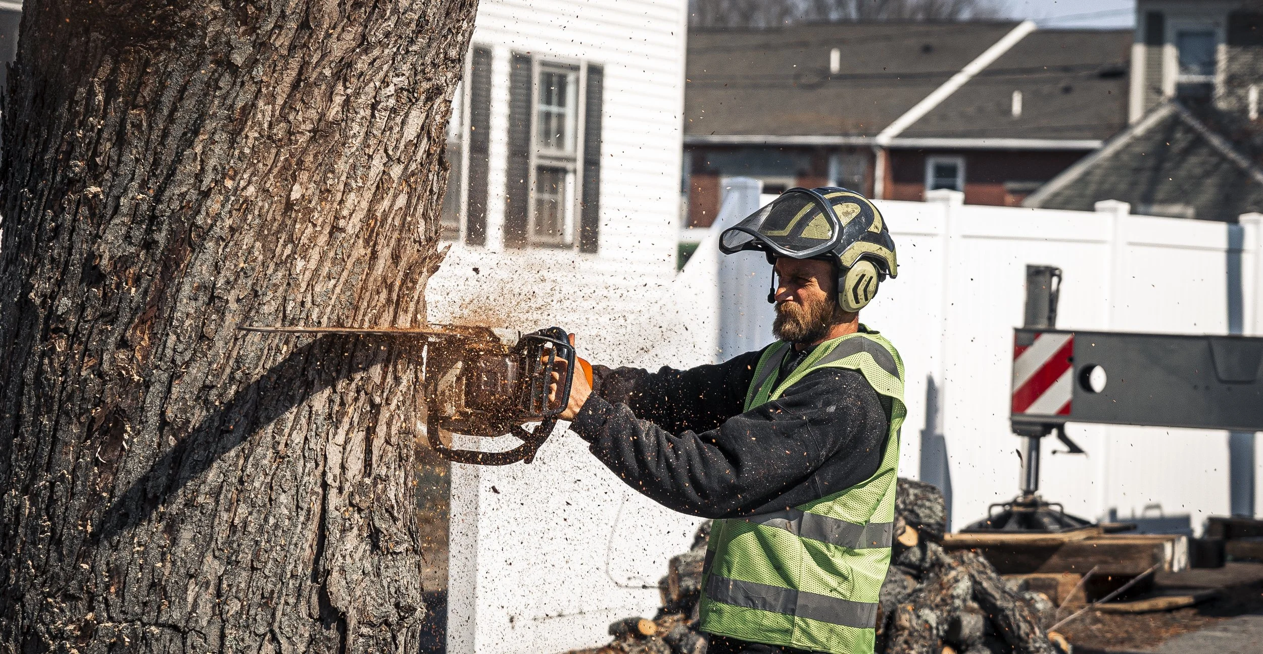 timberfalls-19 copy.jpg