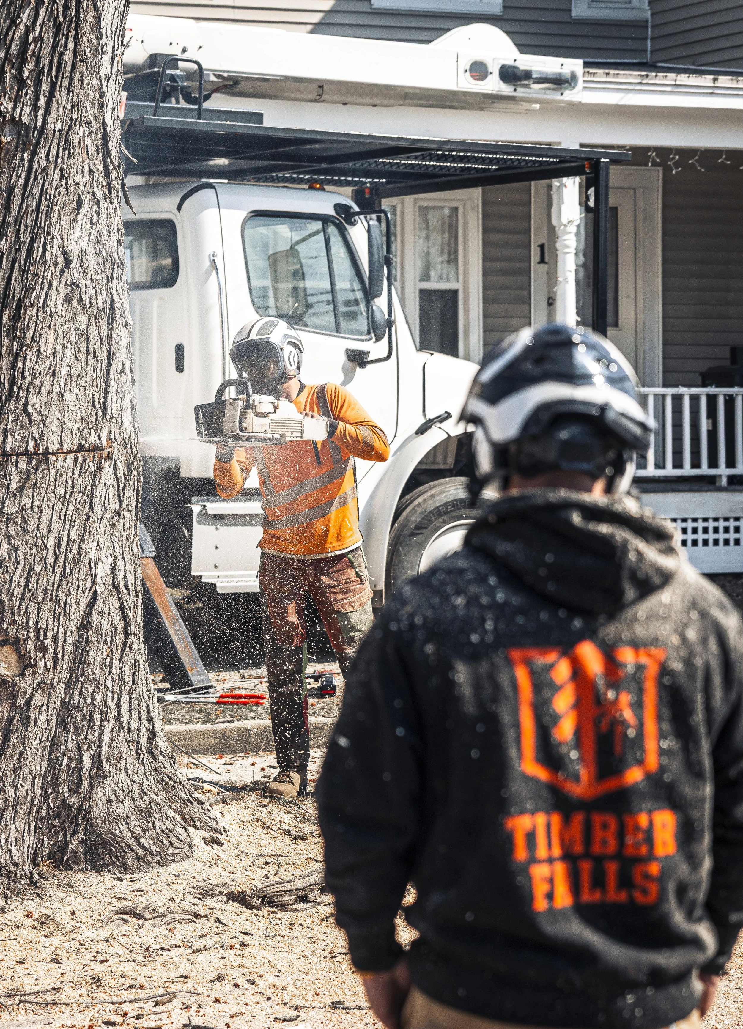 timberfalls-06 copy.jpg