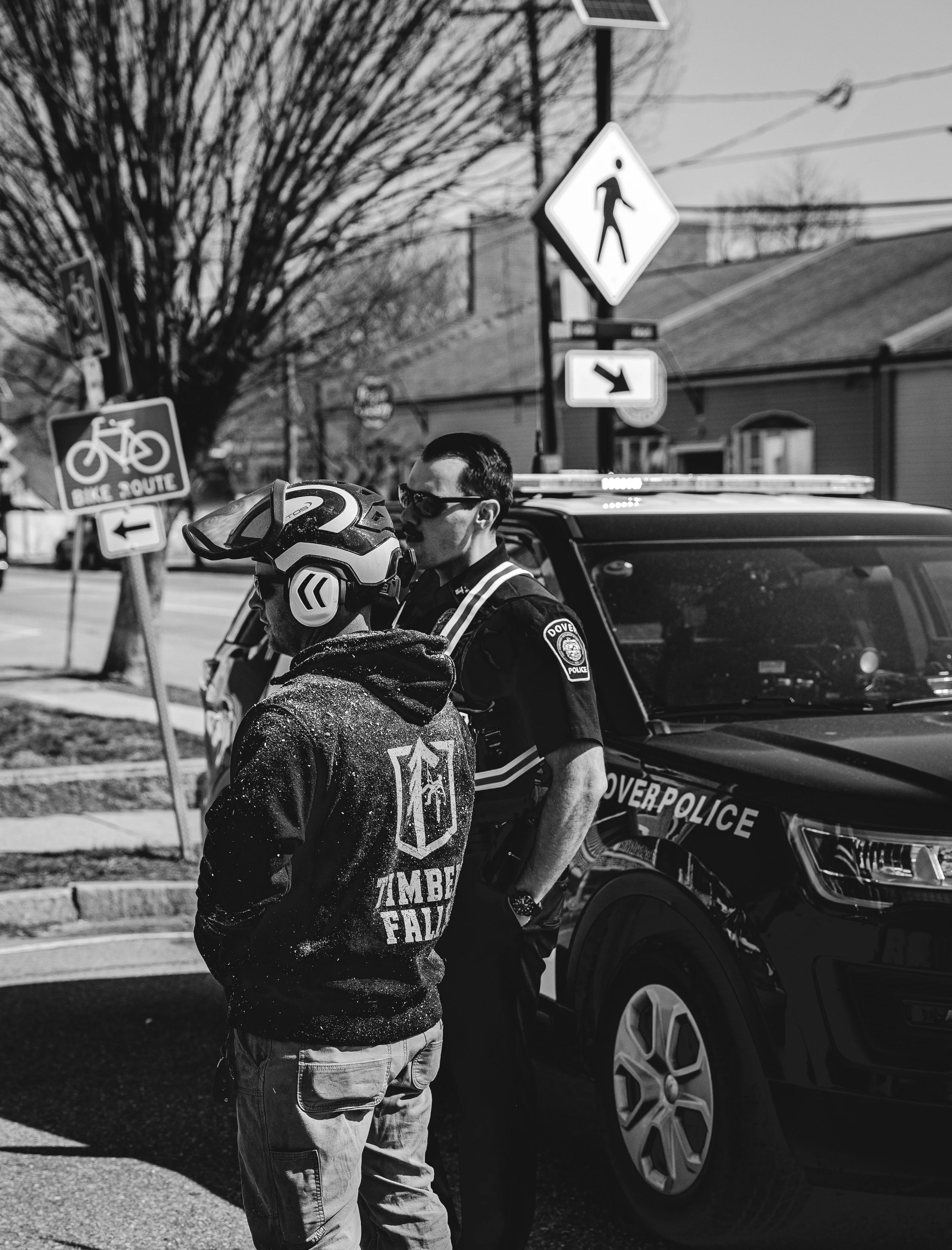 timberfalls-03 copy.jpg