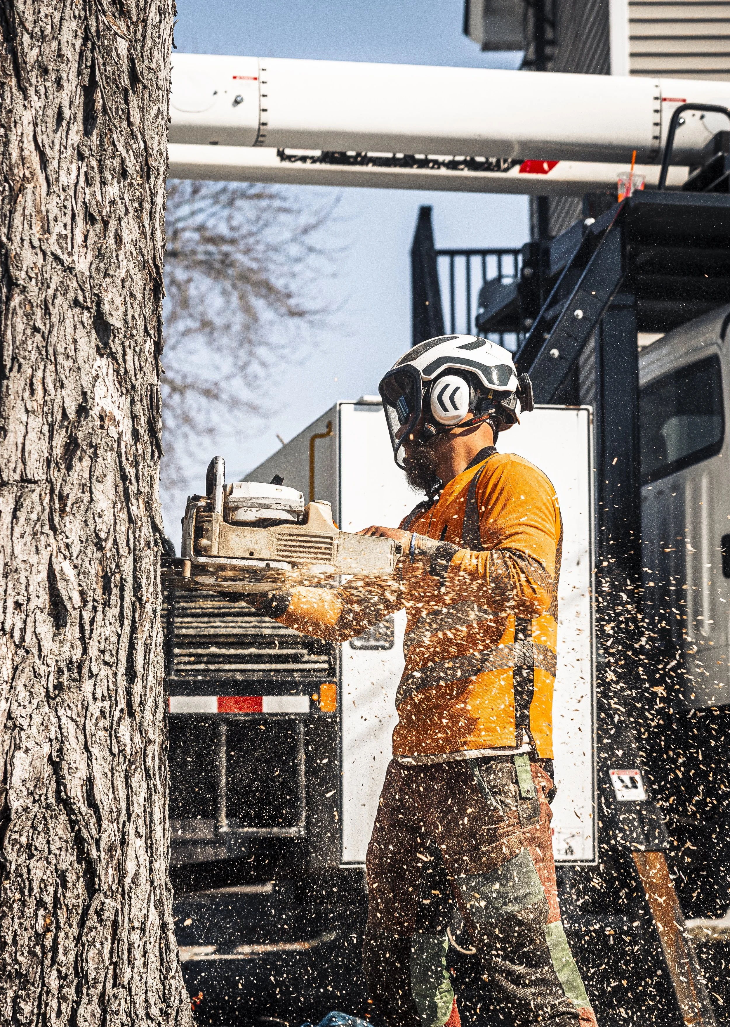 timberfalls-08 copy.jpg