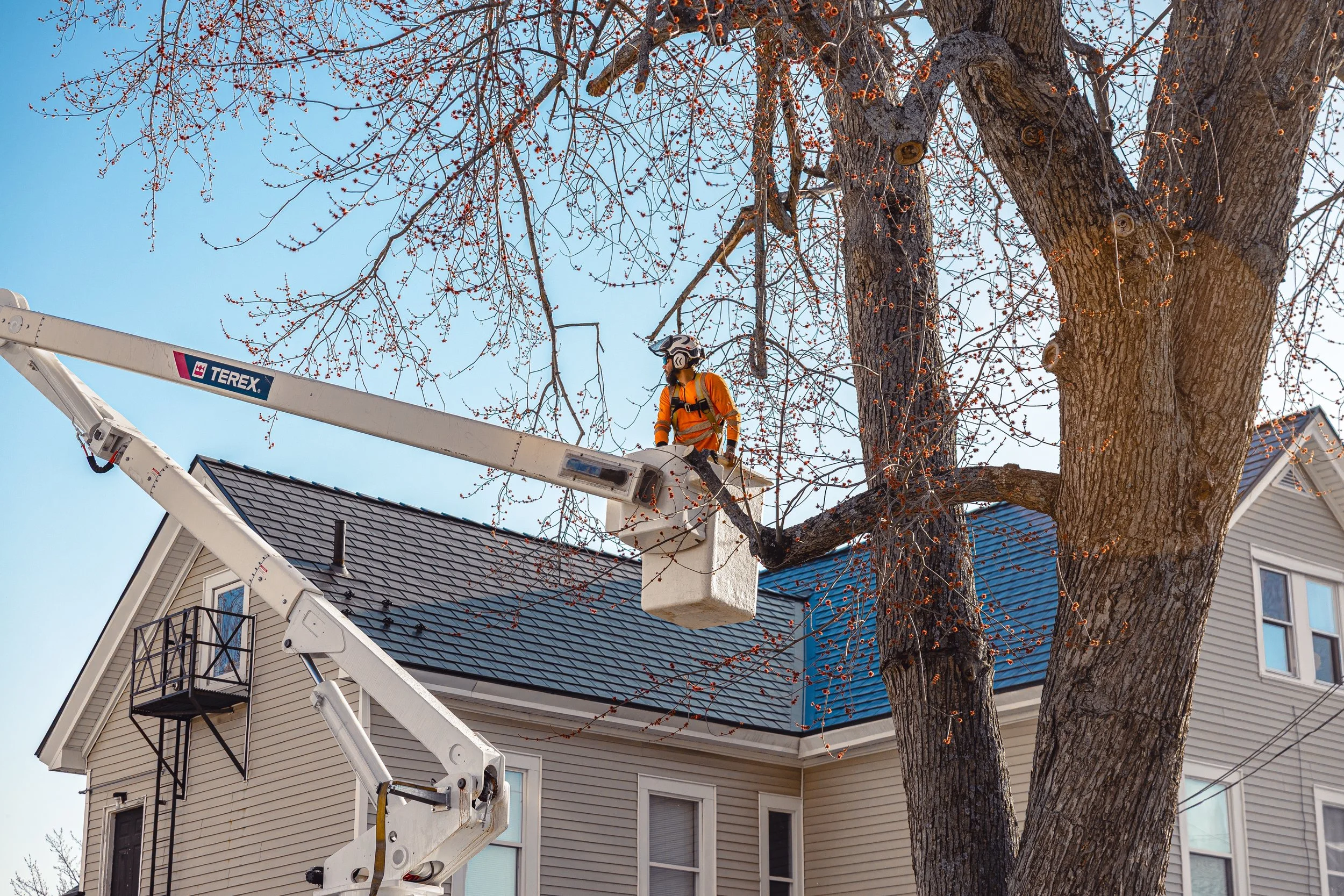 timberfalls-47 copy.jpg