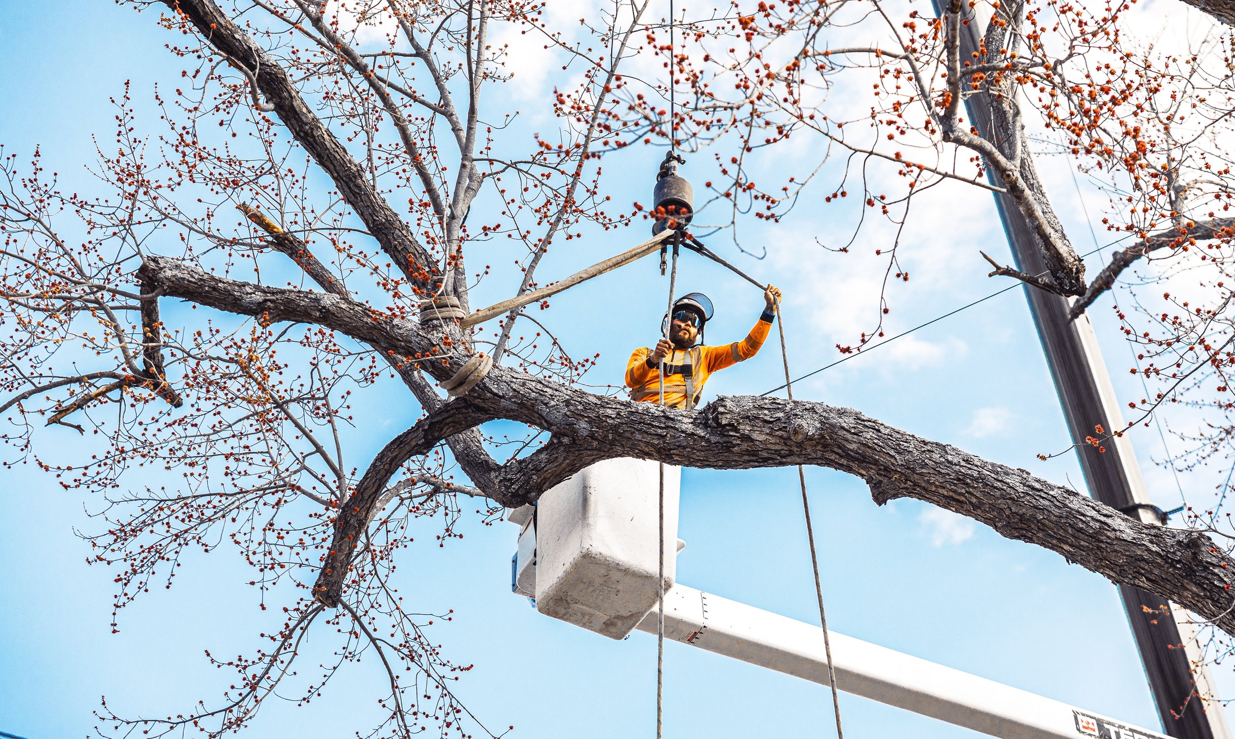 timberfalls-42 copy.jpg