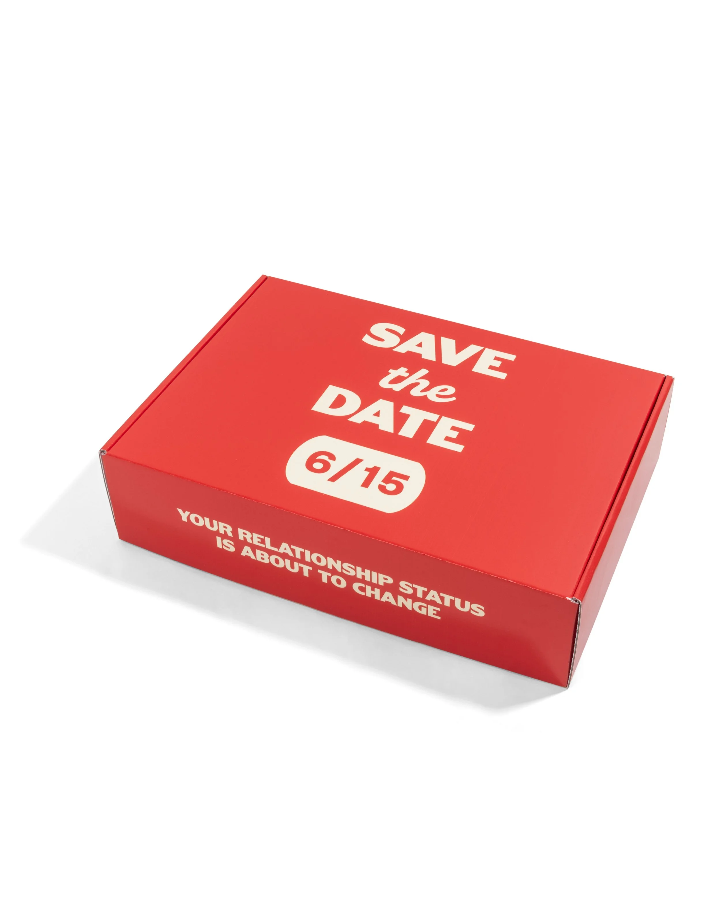 arbys cheesesteaks box (1).jpg