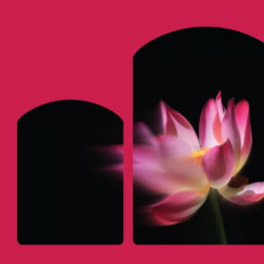 ELORA SINGERS PRESENTS: Sarah Kirkland Snider: Mass for the Endangered