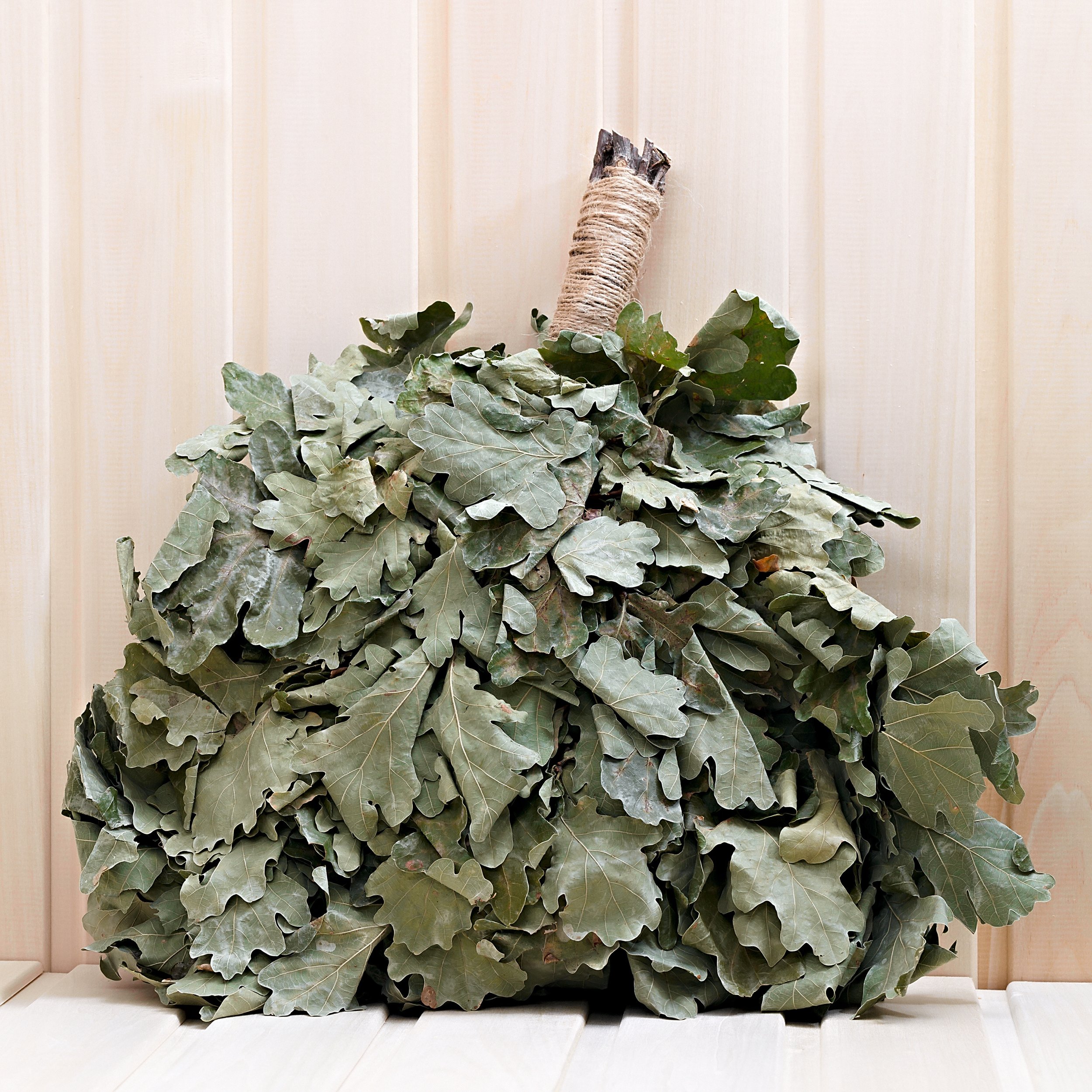 Vihta.jpeg