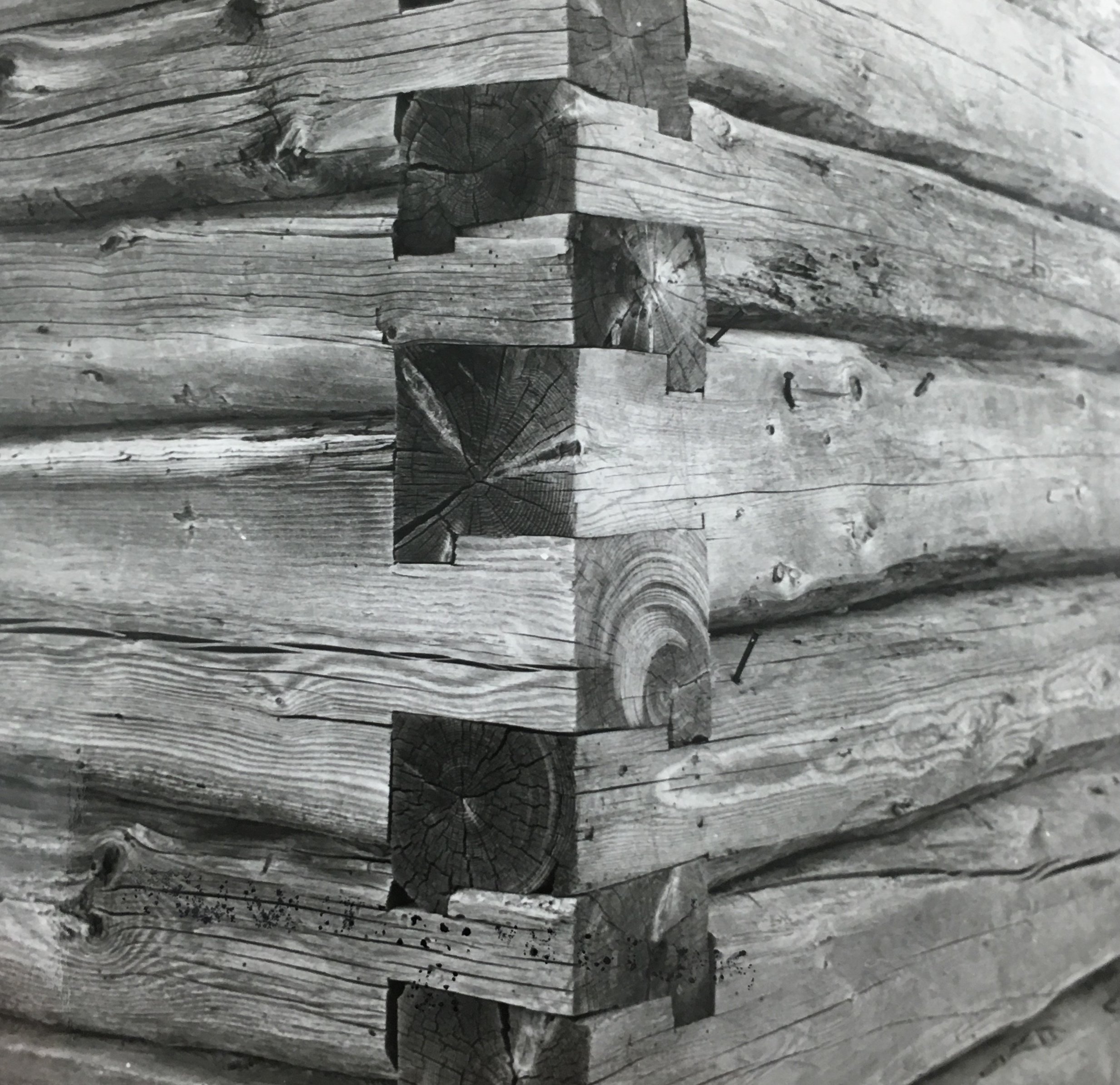 IMG_1778 dovetails.jpeg