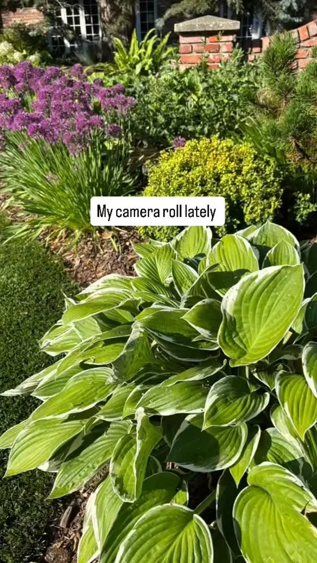 Just a little glimpse into the beauty we get to create every day #gardening