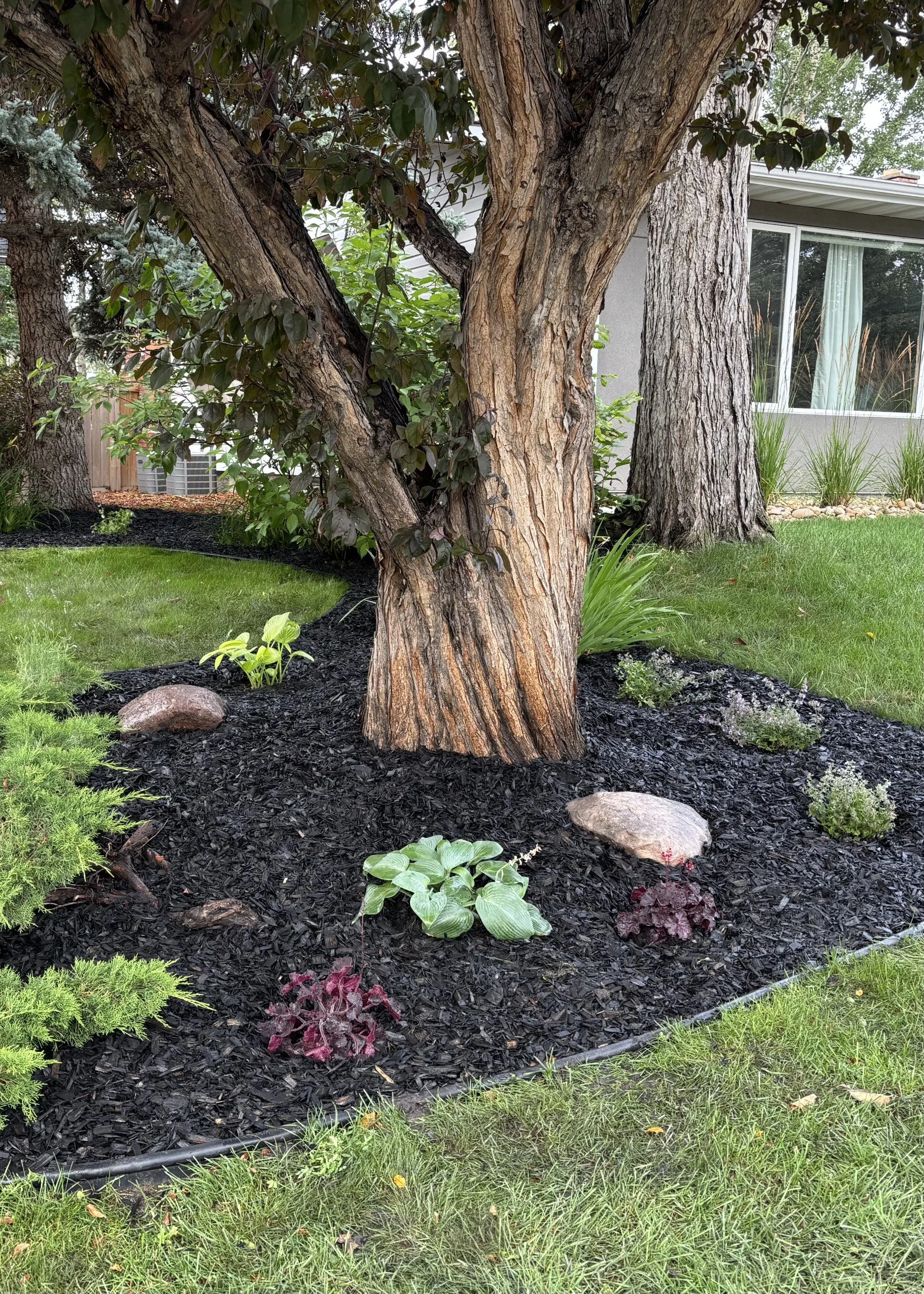 Why Hire a Professional Gardener? Garden Help &amp; Maintenance in Edmonton