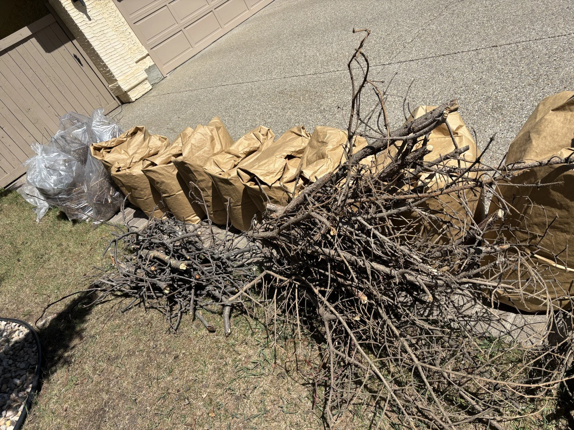 What Is a Spring Garden Cleanup? Garden Cleanup Services in Edmonton