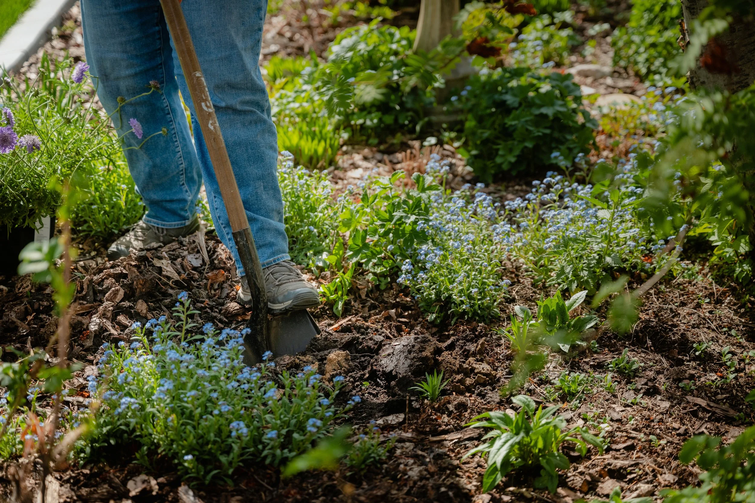 Sustainable Spring Garden Clean-Up Tips (That Actually Make a Difference)