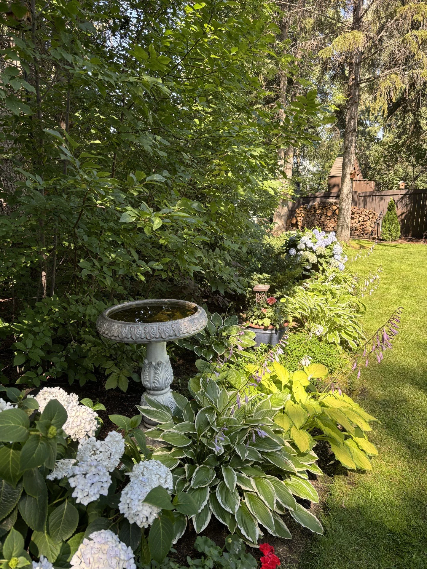 GARDEN I MAINTAIN.jpg