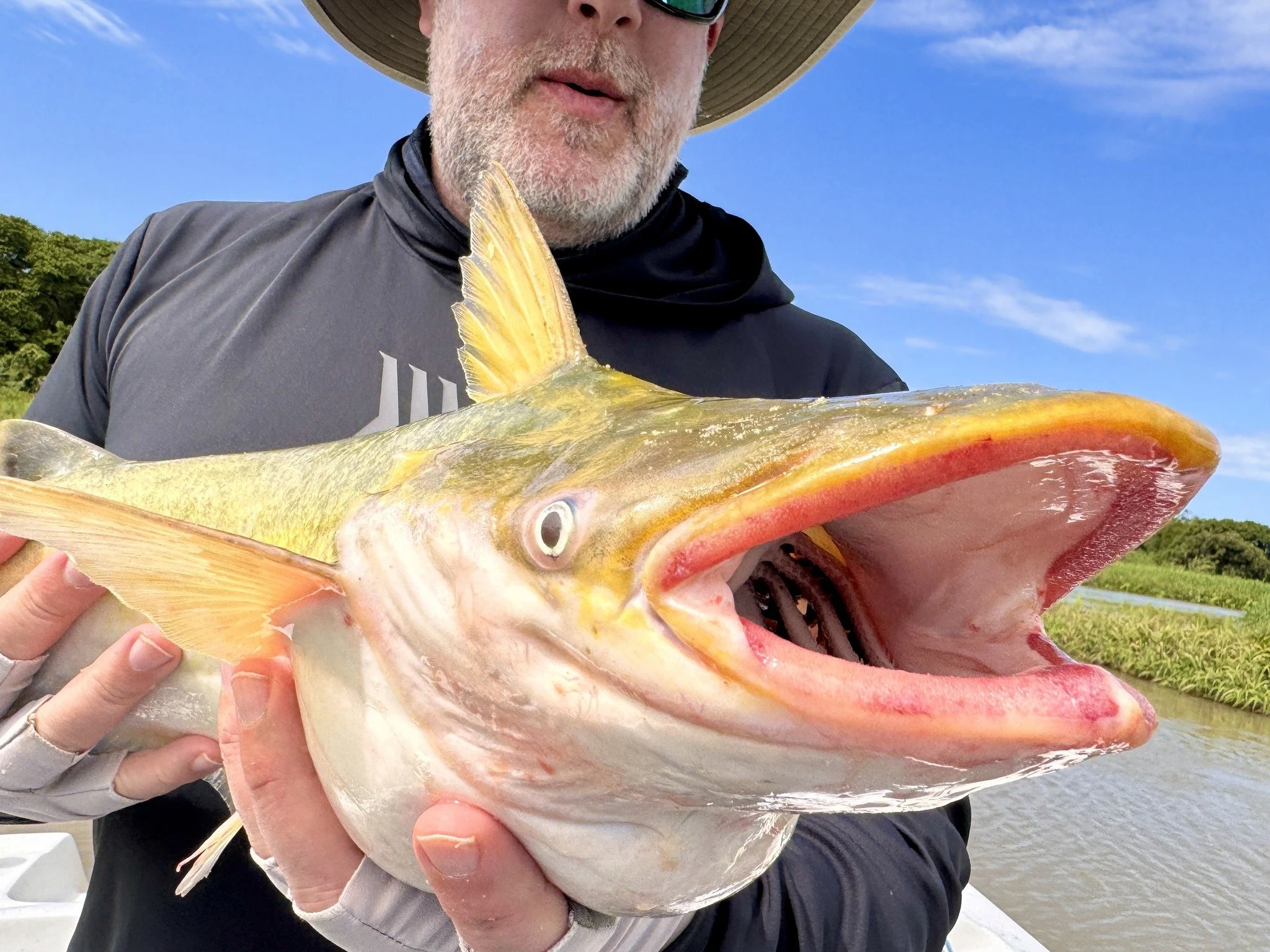 Jason caught his manduba catfish in the Parana River in Argentina.  They are unique in that they have a wide, flattened head with eyes positioned on the side so they can easily see both above and below.