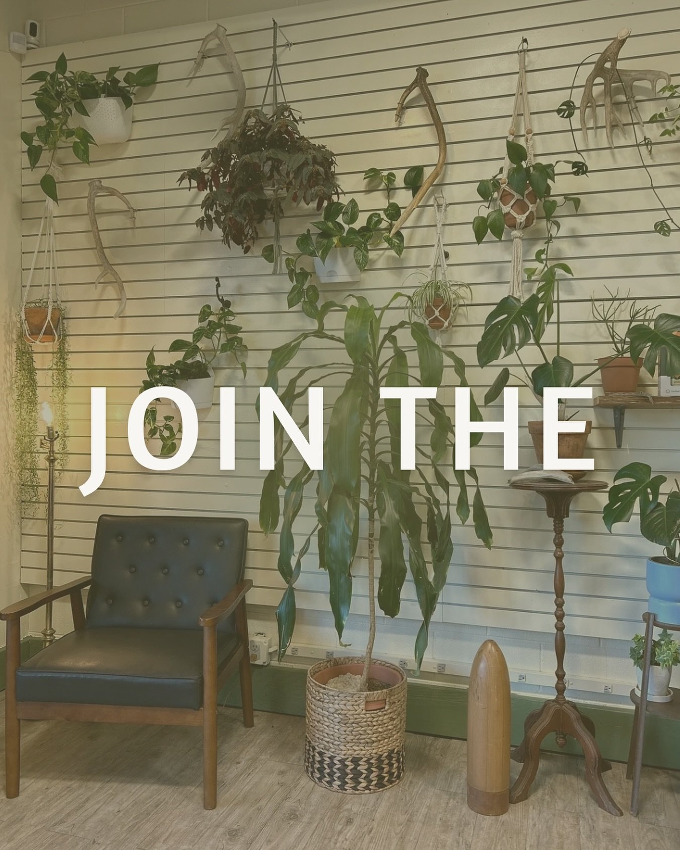 Calling all commission stylists and barbers ~ we are hiring!

OAK BRUSH was created in thought as a space for stylists to do what they love, with freedoms that restructure the salon norm ~ open your schedule as needed, take your time off, set your pr