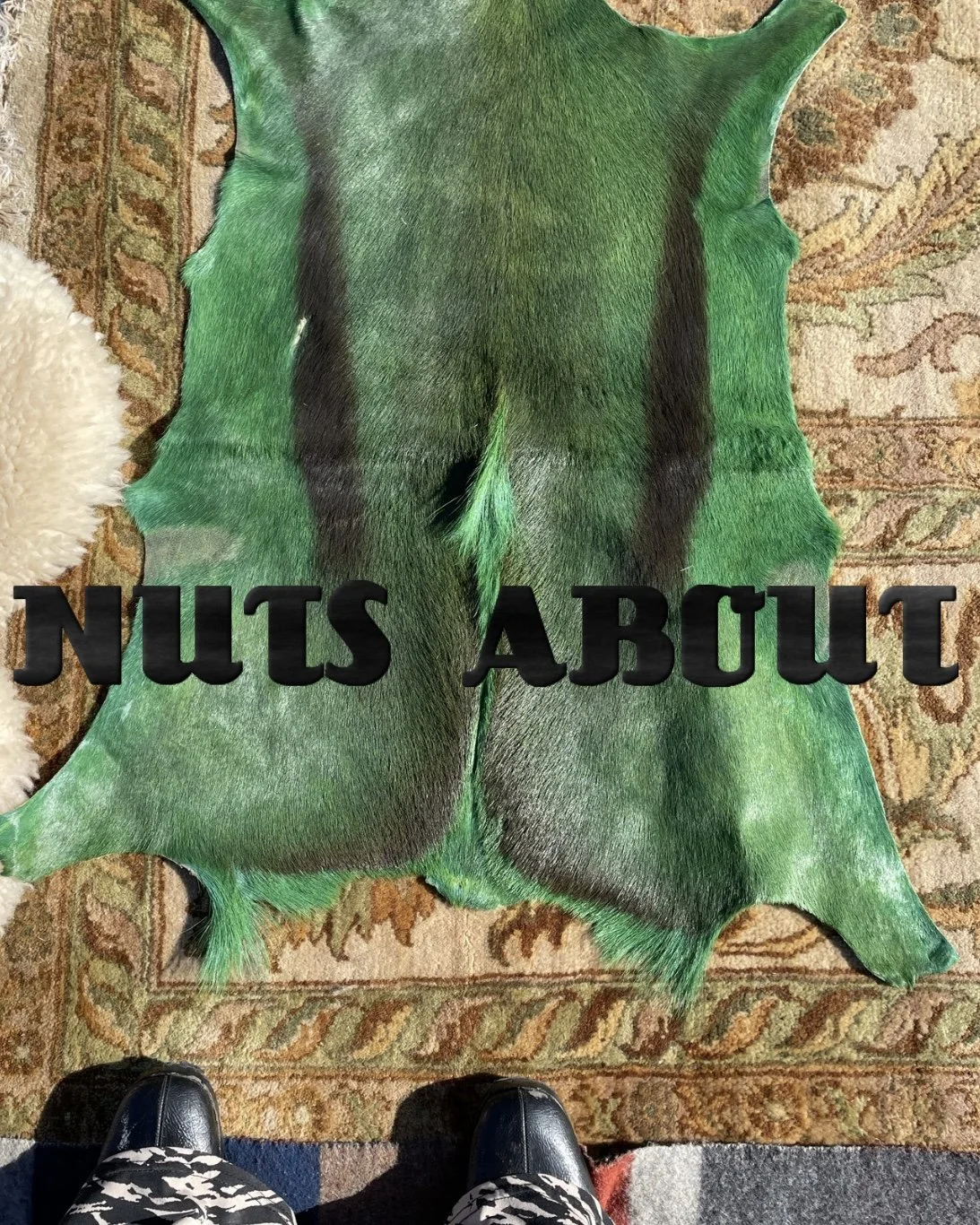 nuts about.jpeg