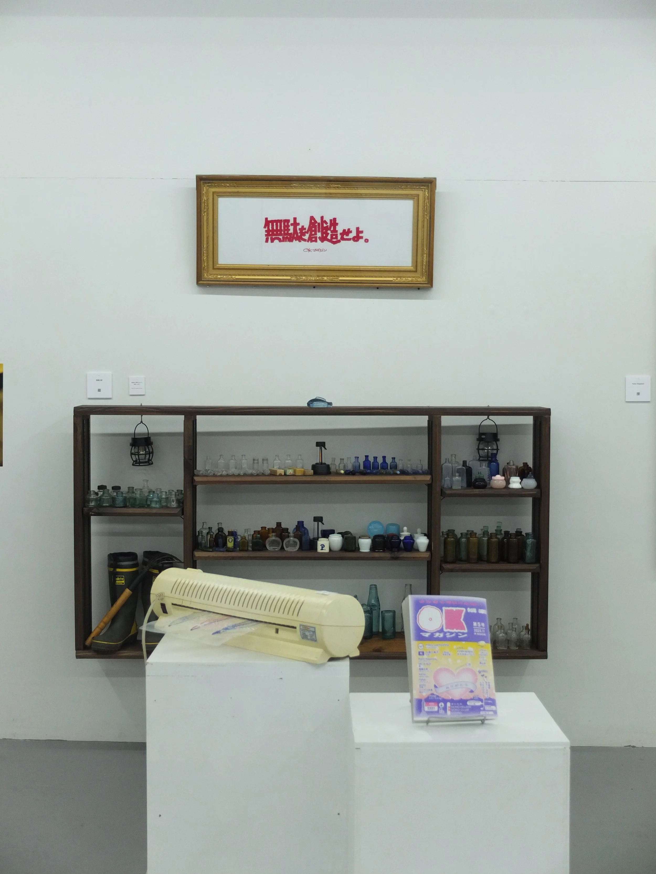 DSCF9354.JPG