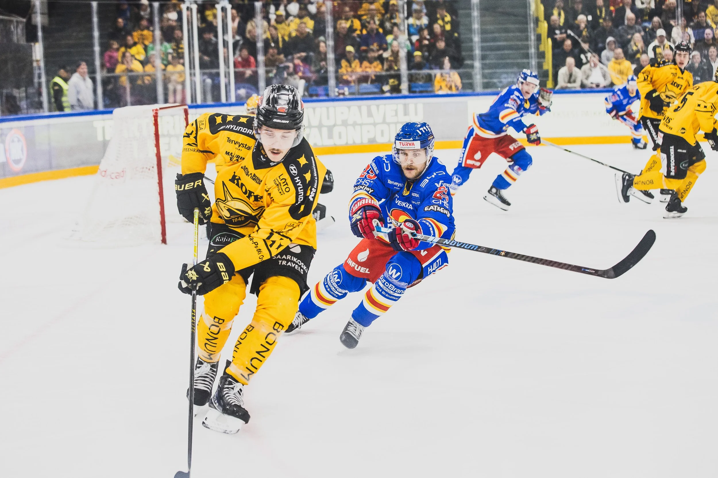 20261003-setti-014.jpg