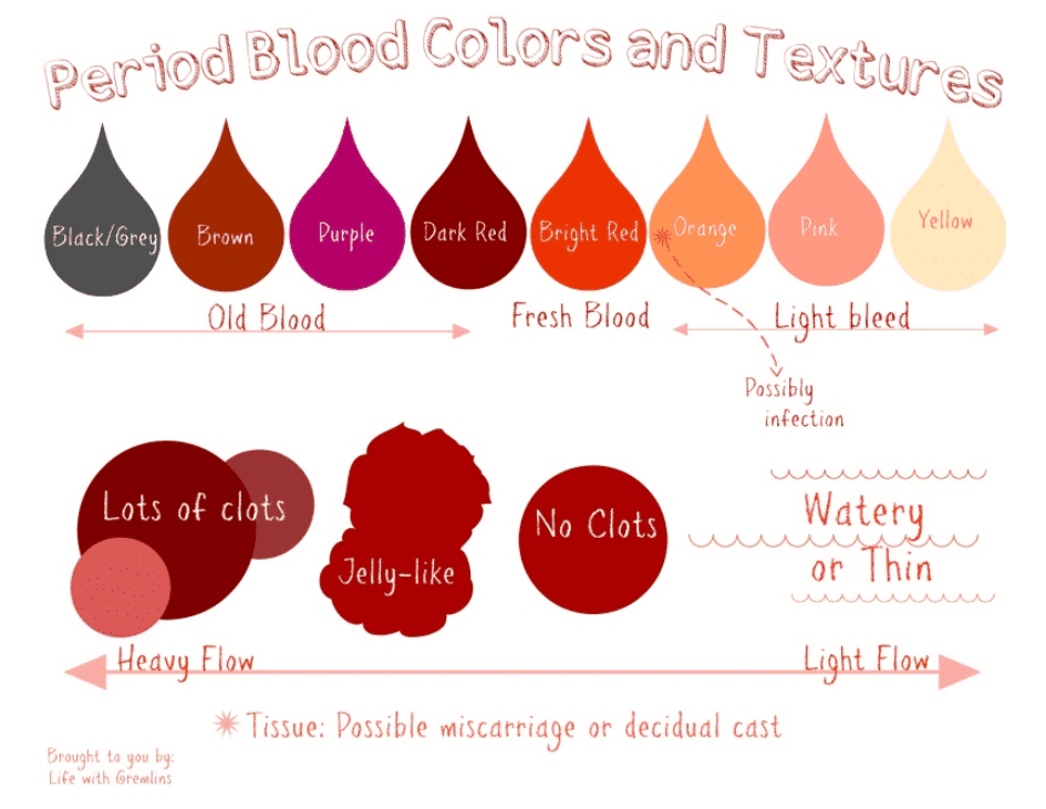 What is Your Period Blood Telling You About Your Health? — Freya