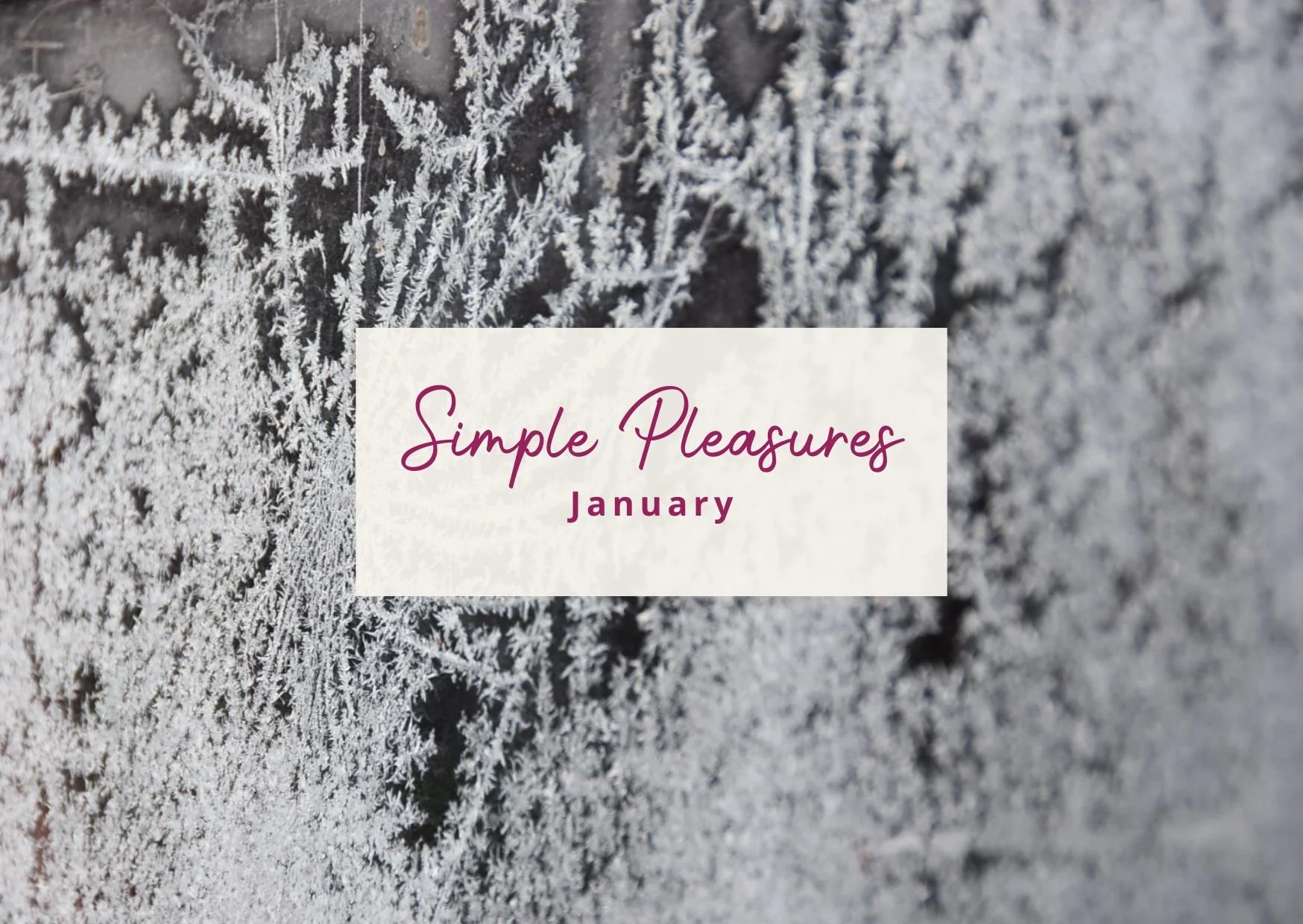 Simple pleasures sparking joy in January