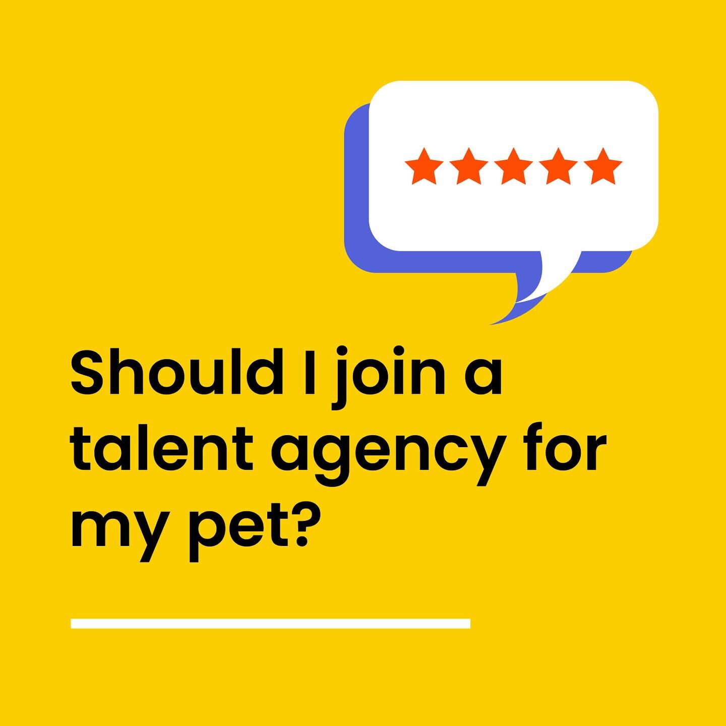 Unlike talent agencies, #pawjourr do not actively find or manage brand deals specifically for any creators ❌

Rather, we operate like a job board for creators to apply to campaigns they are interested ✅ 

Sign up for free today 📝

#petfluencer #crea