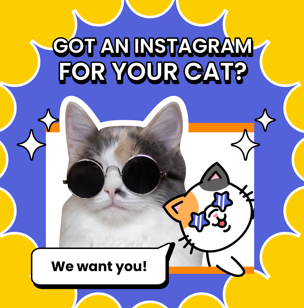 Does your cat have their own @instagram or @tiktok account with a minimum of 1,000 followers? ❤️&zwj;🔥

If yes, keep reading!

We are looking for cat creators for campaign opportunities across Singapore, Malaysia, and the USA.

Sign up today for fre