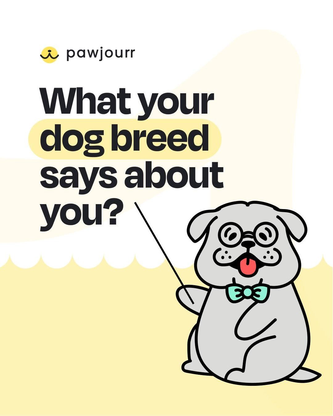 Tag a friend who&rsquo;s def a husky 😏 

#pawsonalitytest #pawjourr #thewoofagency
