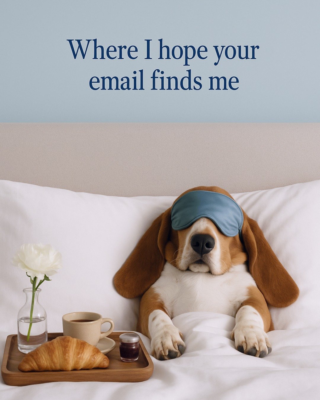 Comment your vibe rn:
🛌 = bed rotting
🌊 = delulu on a beach 

#OOO #Pawjourr #Thewoofagency  #WhereIHopeYourEmailFindsMe