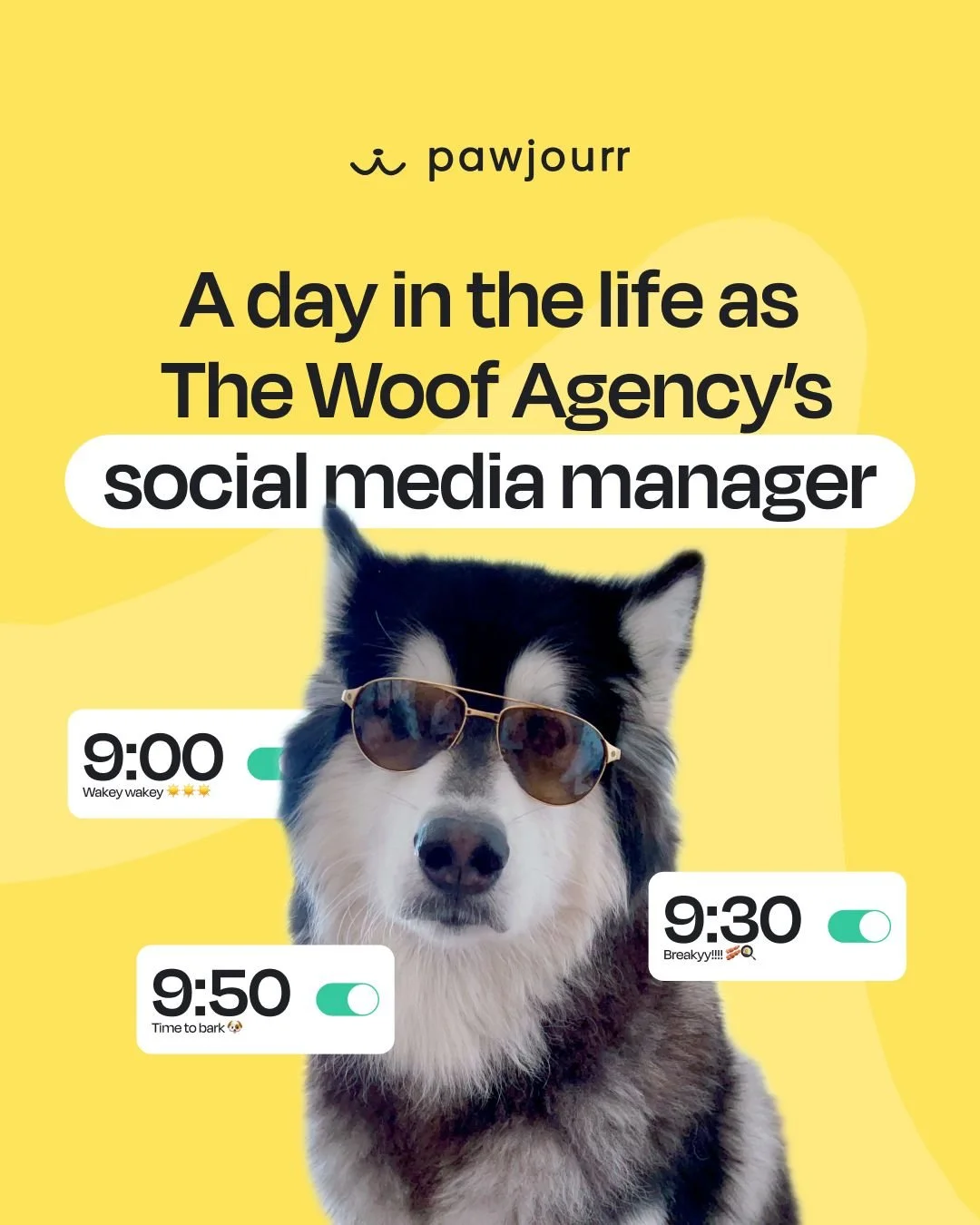 Ft. our unpaid intern/Head of Vibes, Oolong 🐾 

#InternLife #BehindTheBrand #TheWoofAgency #Pawjourr #RemoteWork #Agency