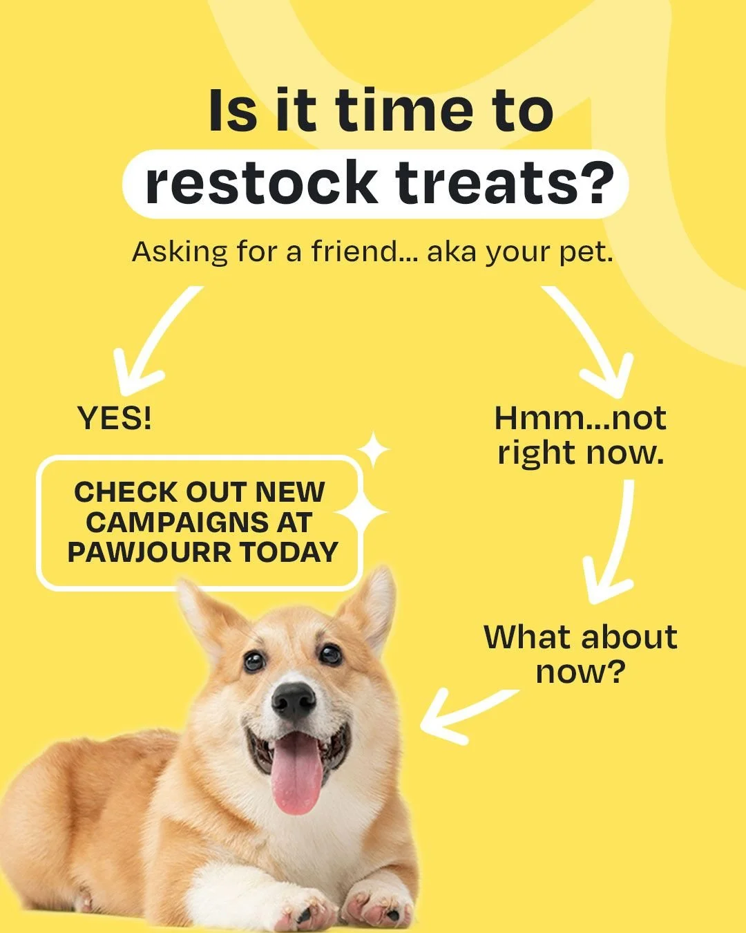 Spoiler alert: the answer is always yes 🤭

#TheWoofAgency #Pawjourr #PetAgency #LifeatPawjourr