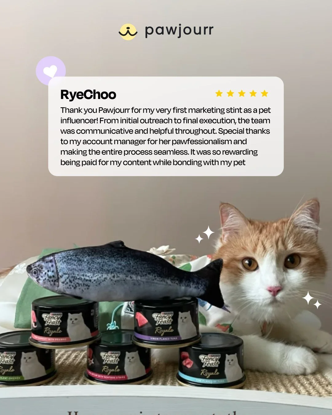 Proud pet parent moment 💫 

Watching owners and their fur kids shine with every collab makes our heart full 🥰 

Thanks for sharing your story and being part of the Pawjourr community @rye.choo

#petinfluencer #catofsg #pawjourr #creatornetwork