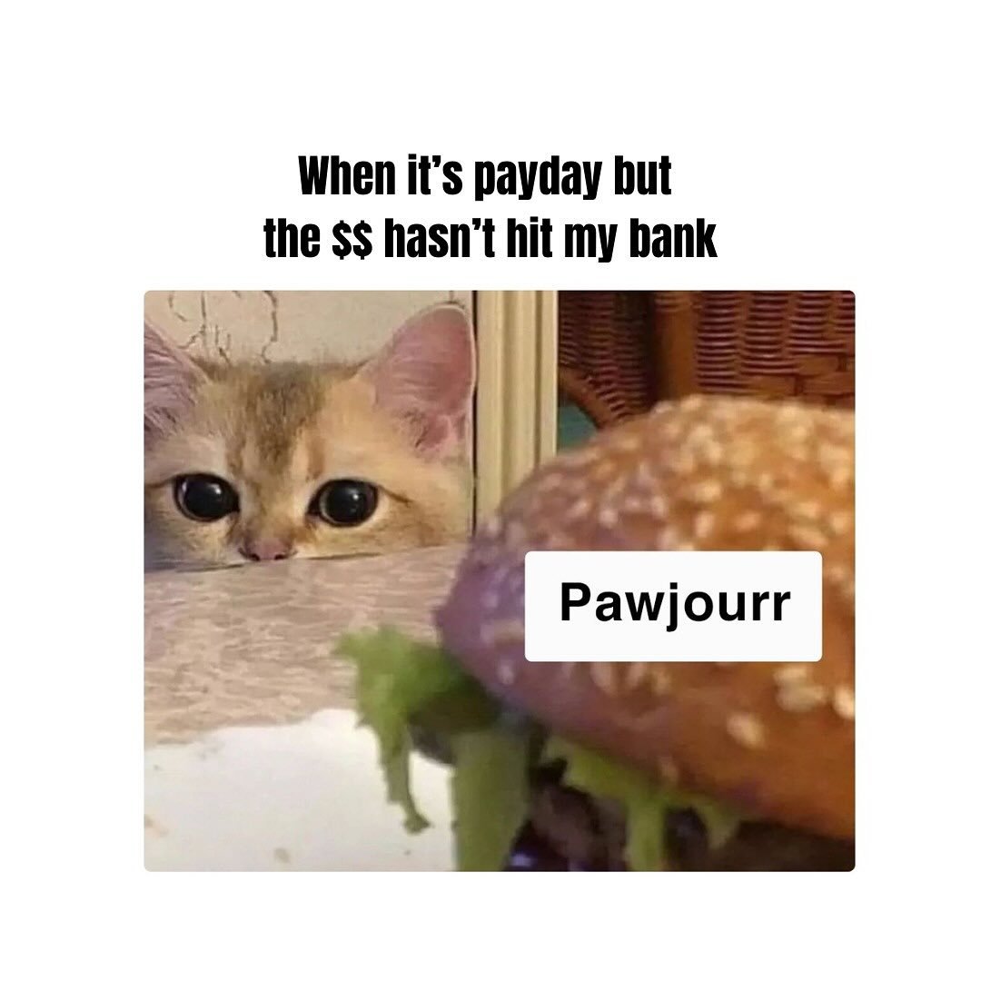 When you&rsquo;re employed but emotionally unemployed. 

But fret not! Pawjourr takes 7 - 10 working days for it to be in your account &mdash; just remember to request for withdrawal 😉

#Pawjourr #TheWoofAgency #pawjourrpartners #memes