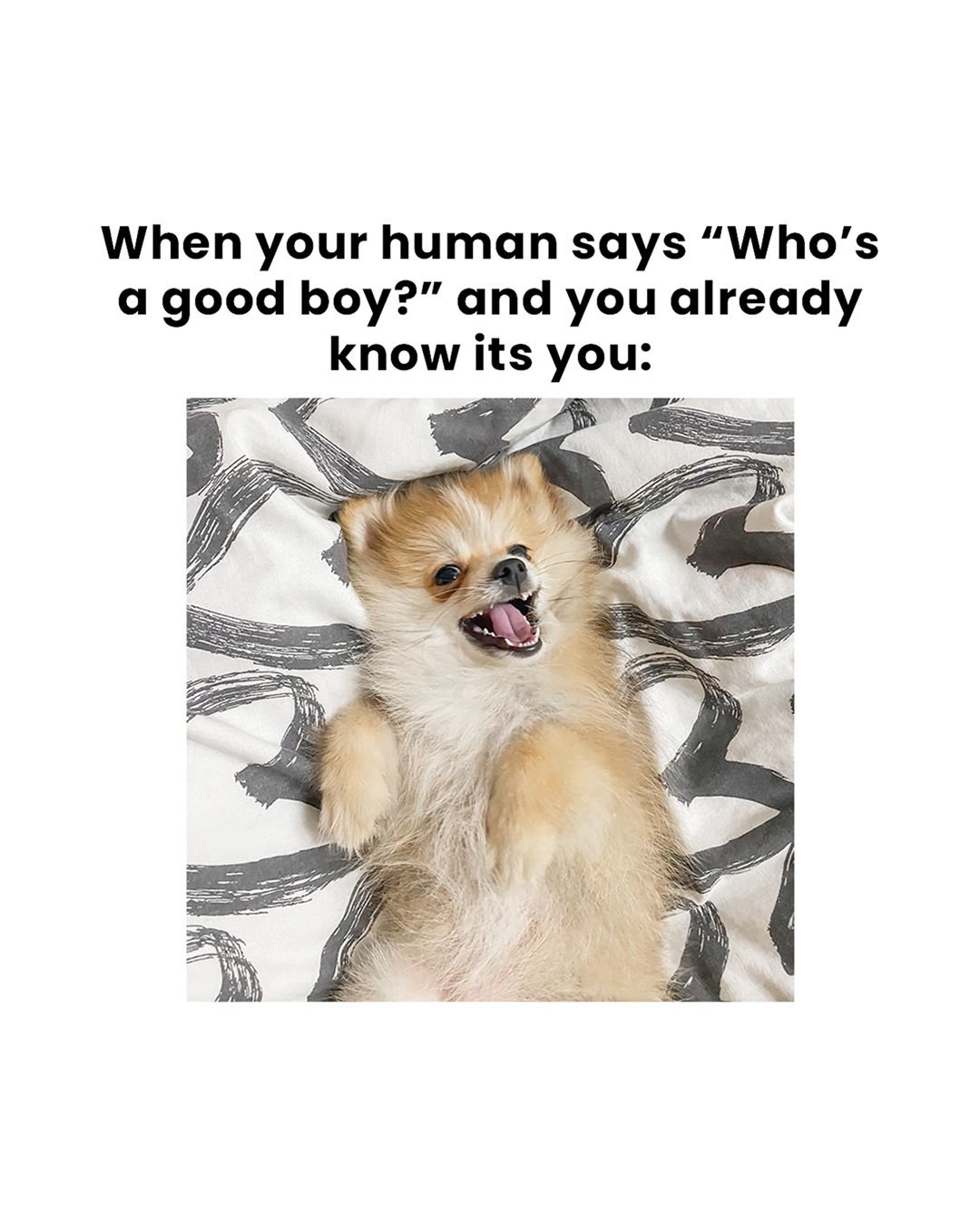 😗
Credits: @mickeythechh_milothepom