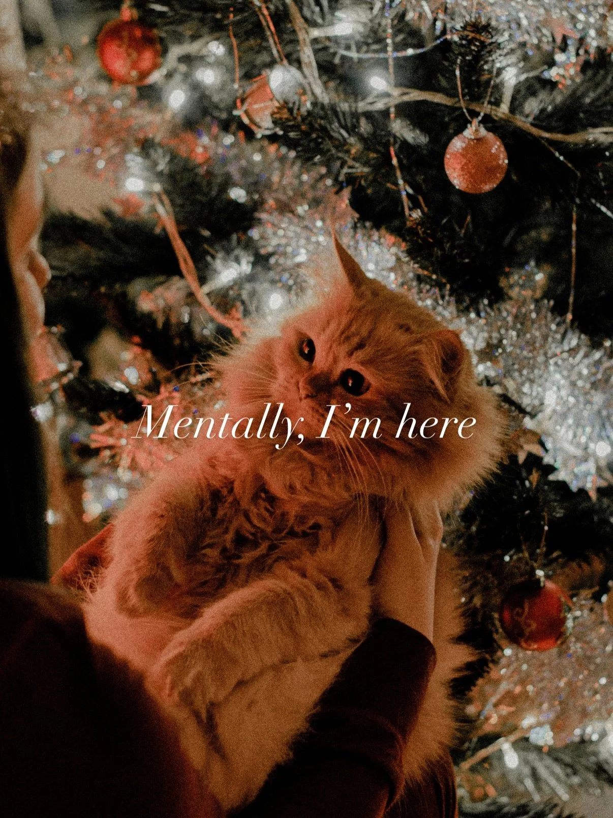 Let the holiday magic begins 🎄✨