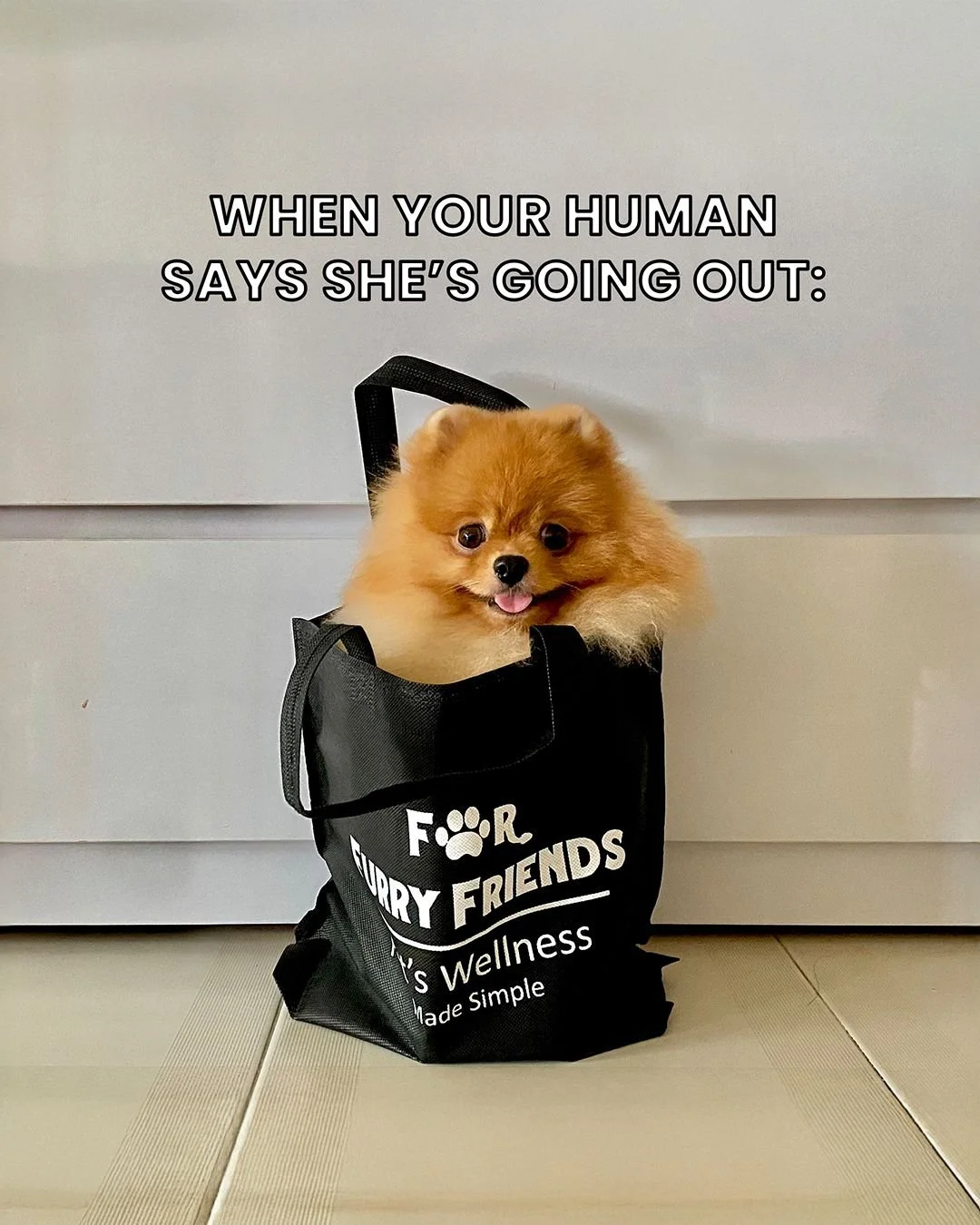 Every dog ever : not on my watch today 
#Pawjourr #TheWoofAgency #Memes