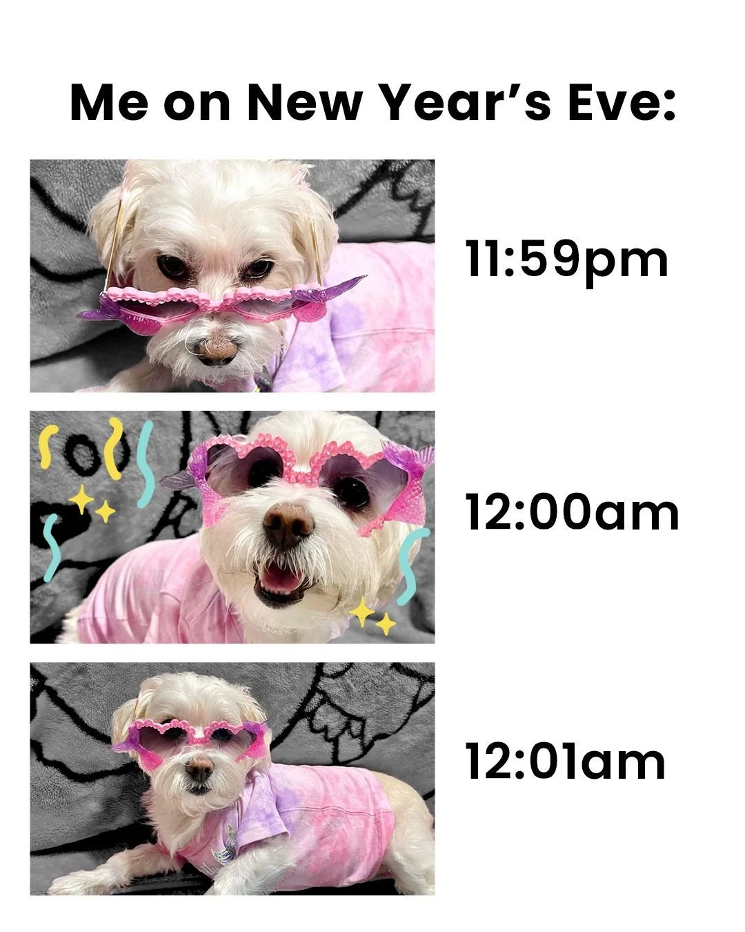 Same routine, same naps, new calendar. 
Happy New Year, fam! 🥂

#Pawjourr #TheWoofAgency