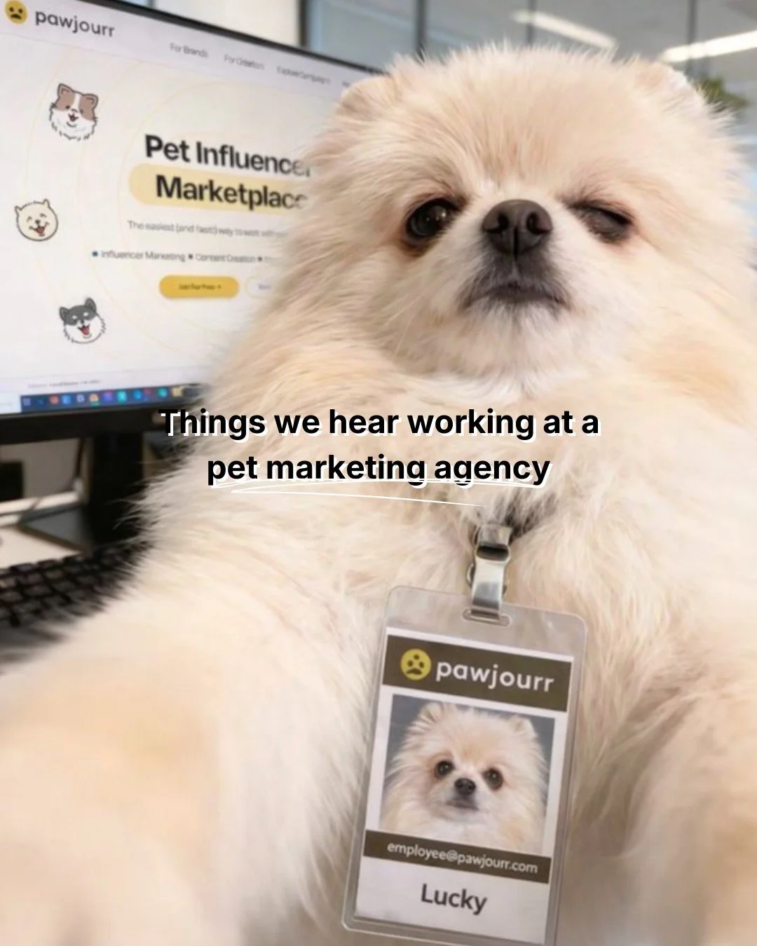 We ain't lying about the last one. 

#pawjourr #petmarketingagency #thewoofagency